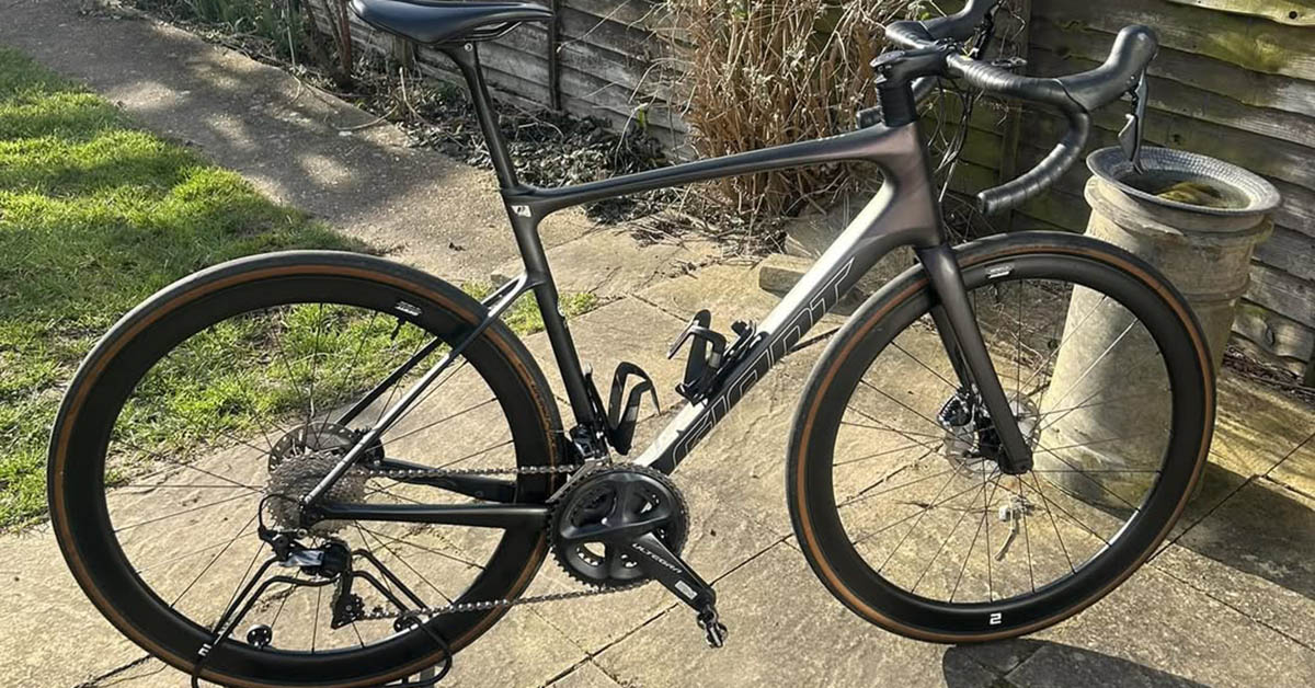Serviced Giant Defy